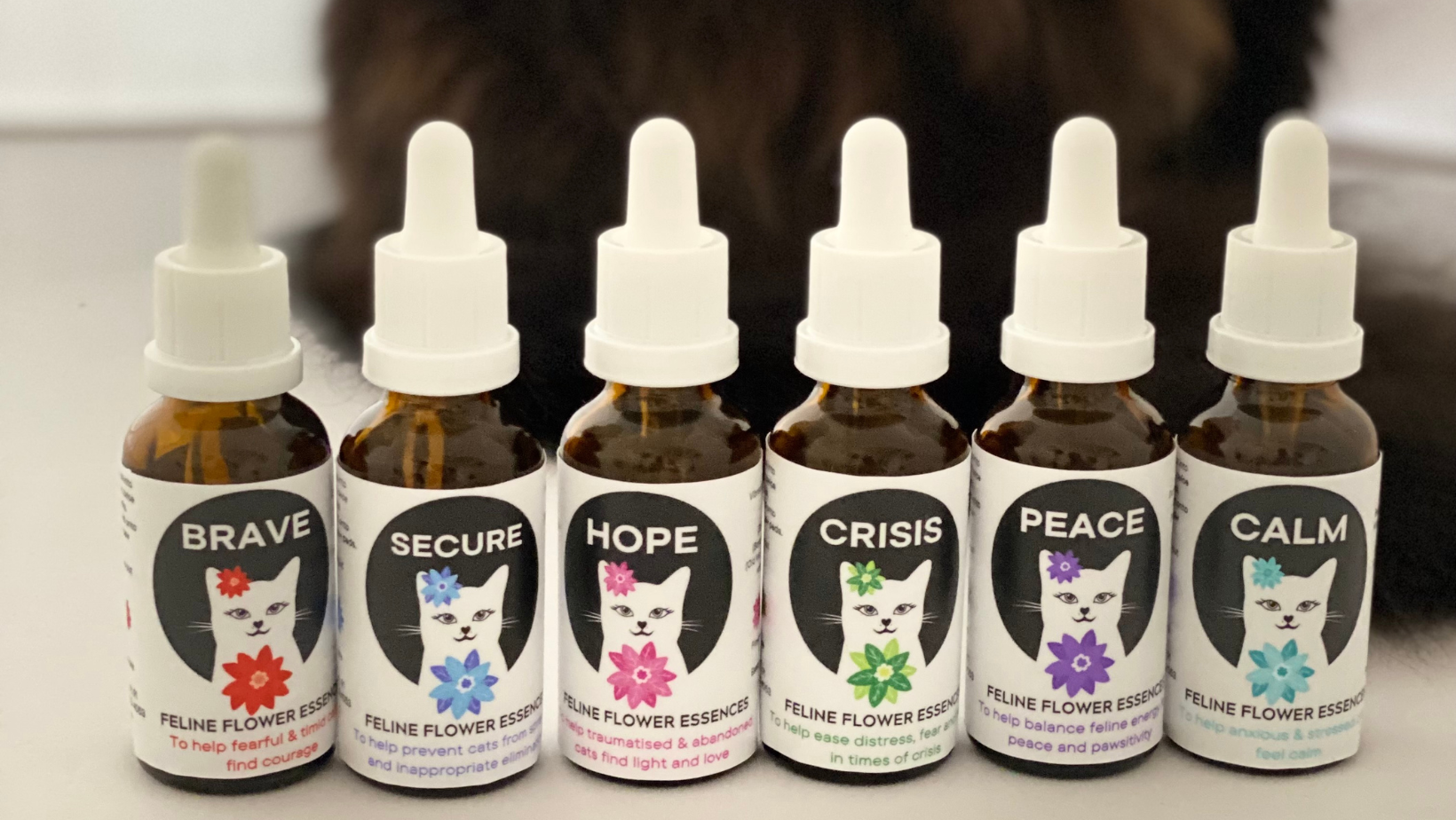 Flower essences for cats best sale